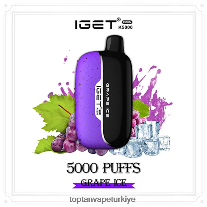 Toptan Vape V02JDP4 üzüm buzu IGET Moon k5000