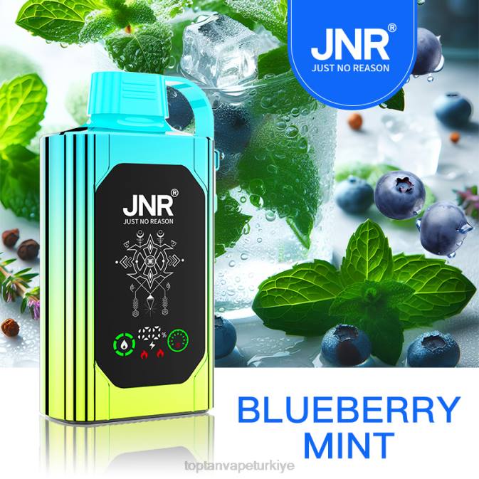 Vape toptan satış - yaban mersini nane 86VR618 JNR SHISHA BOX