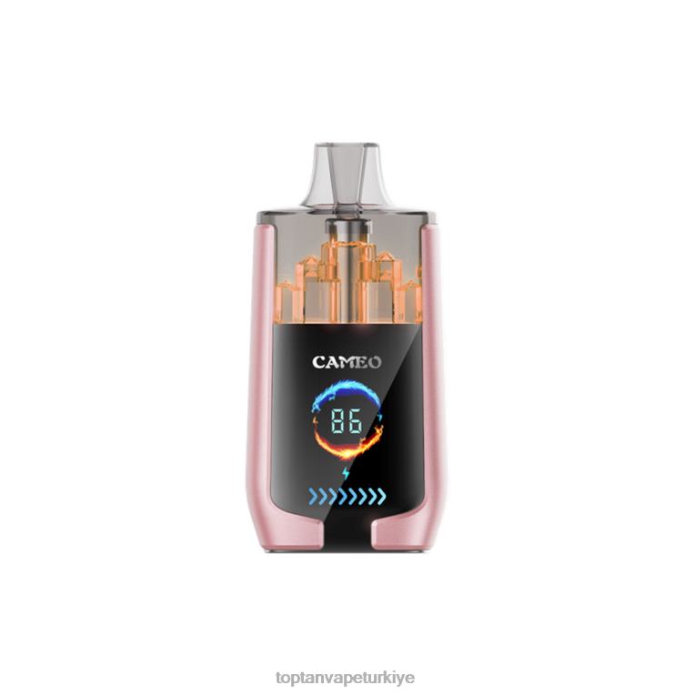 LAVIE CAMEO 30000 nefes 246VL19 | Vape Toptan Satış tropikal meyve