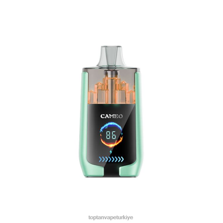 LAVIE CAMEO 30000 nefes 246VL20 | Toptan Vape çift ​​elma