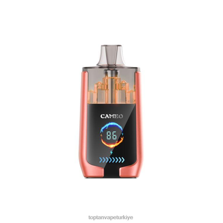 LAVIE CAMEO 30000 nefes 246VL24 | Vape Türkiye çilek karpuz