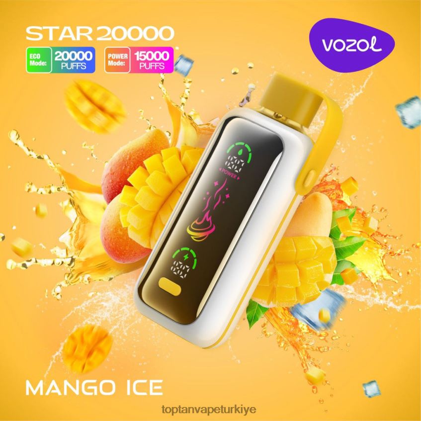 Türkiye'De Vape mango buzu HJ68N813 VOZOL STAR 20000