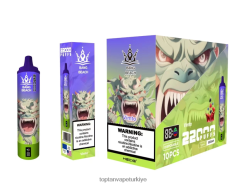 Bang Beach 22000 nefeslik akıllı ekran 4N0B4D18 - Toptan Vape vimto