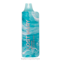 elektronik sigara toptan - erik gül nane 86VR531 LOST MARY MO5000