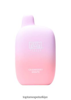 kızılcık üzümü FLUM PEBBLES 6000 nefes 6208F627 Türkiye'De Vape