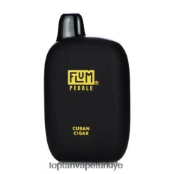 Küba purosu FLUM PEBBLES 6000 nefes 6208F628 Türkiye Vape Fiyatları