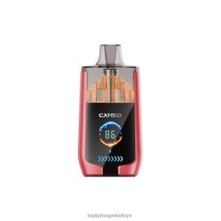 LAVIE CAMEO 30000 nefes 246VL14 | Türkiye'De Vape karpuz buzu