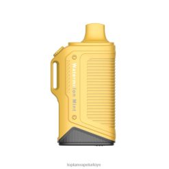 LAVIE Energy Box 15000 nefes 246VL70 | Türkiye'De Vape karpuz nane