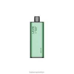 LAVIE GOLDEN BRICK 10000 nefes 246VL62 | Türkiye'De Vape naneli buz