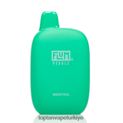 mentol FLUM PEBBLES 6000 nefes 6208F635 Türkiye Vape Fiyatları