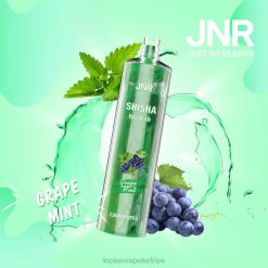 Vape toptan satış - üzüm nane 86VR678 JNR SHISHA