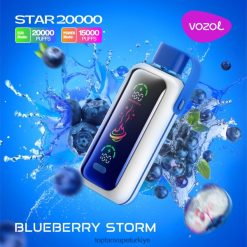 Vape Türkiye Satış yaban mersini fırtınası HJ68N85 VOZOL STAR 20000