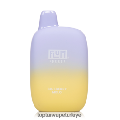 yaban mersinli melo FLUM PEBBLES 6000 nefes 6208F622 Toptan Vape Türkiye